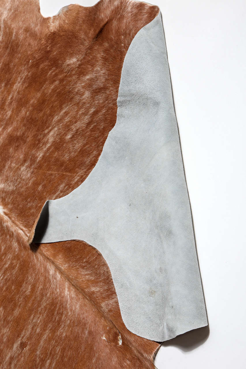 Beautiful Brown Cowhide Rug 4