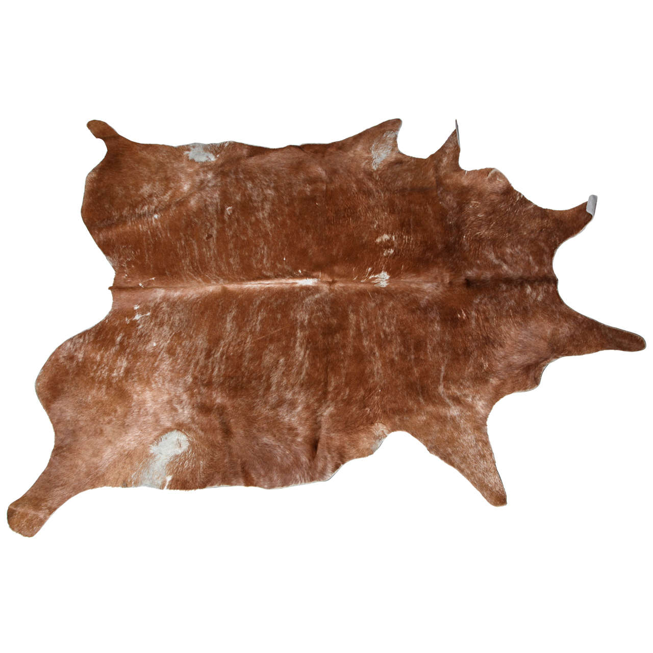 Beautiful Brown Cowhide Rug