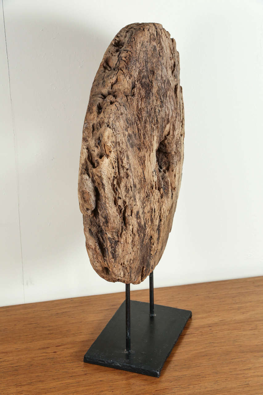 Unknown Giant Reclaimed Wooden Disc with Display Stand for Exhibit as a Sculpture