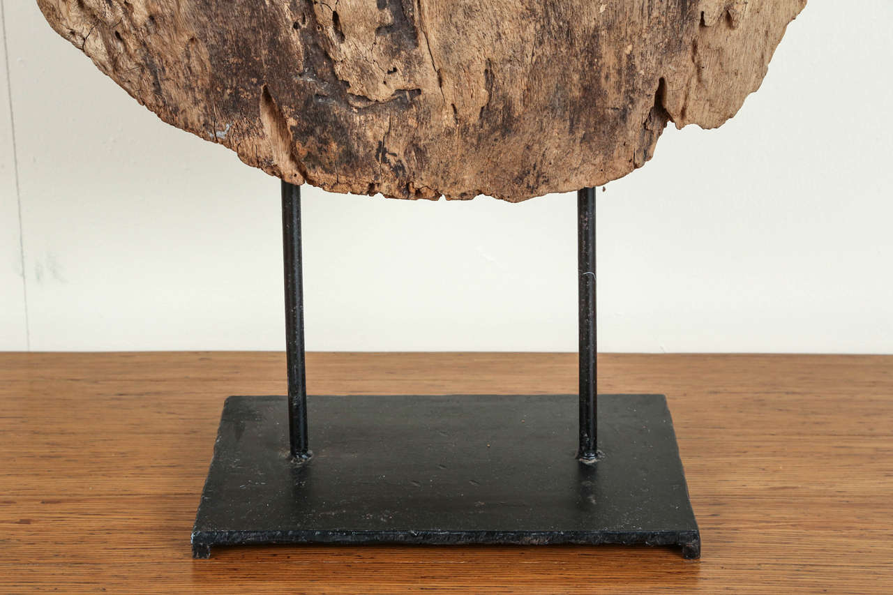 Giant Reclaimed Wooden Disc with Display Stand for Exhibit as a