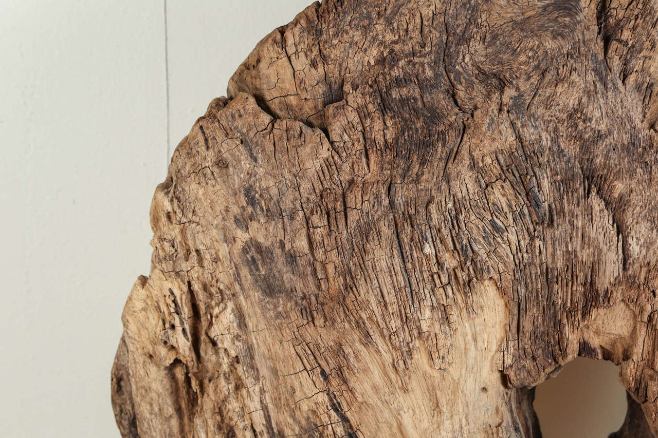 Giant Reclaimed Wooden Disc with Display Stand for Exhibit as a