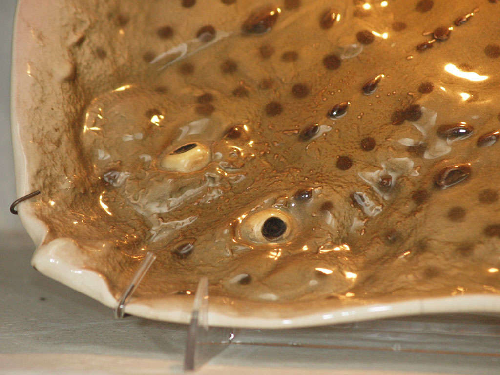 Ceramic French majolica platter in the form of a stingray