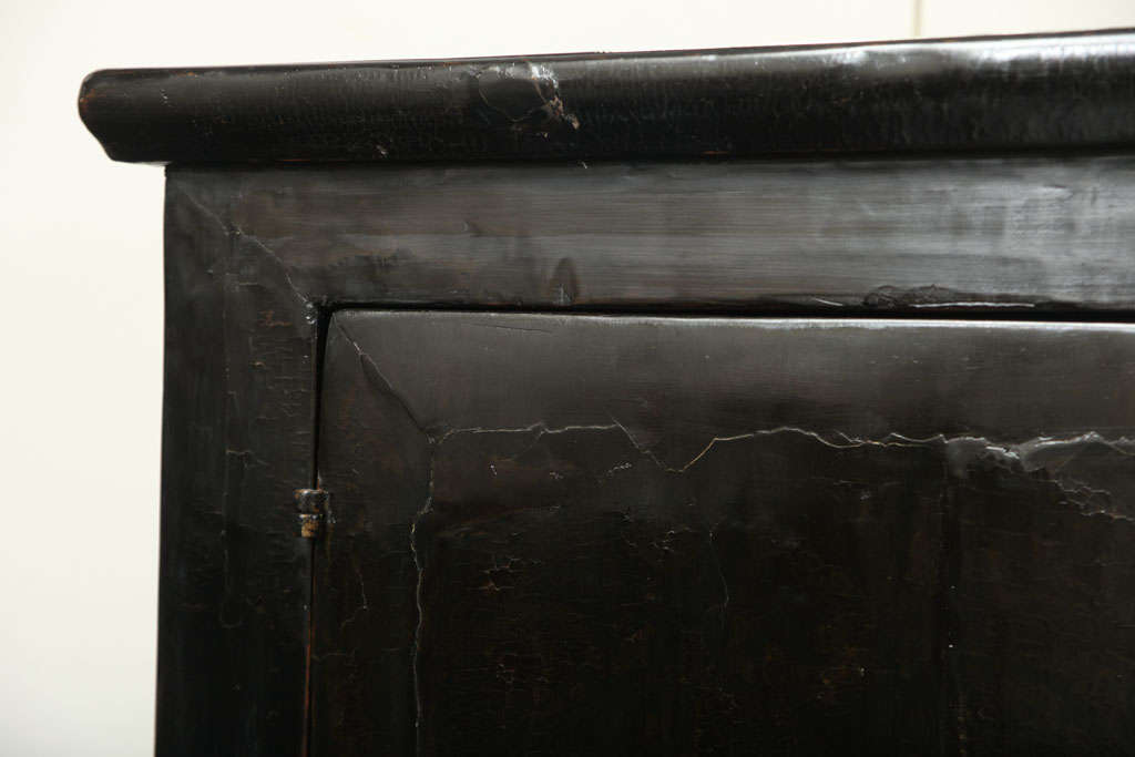 19th Century Black Lacquer Cabinet For Sale 2