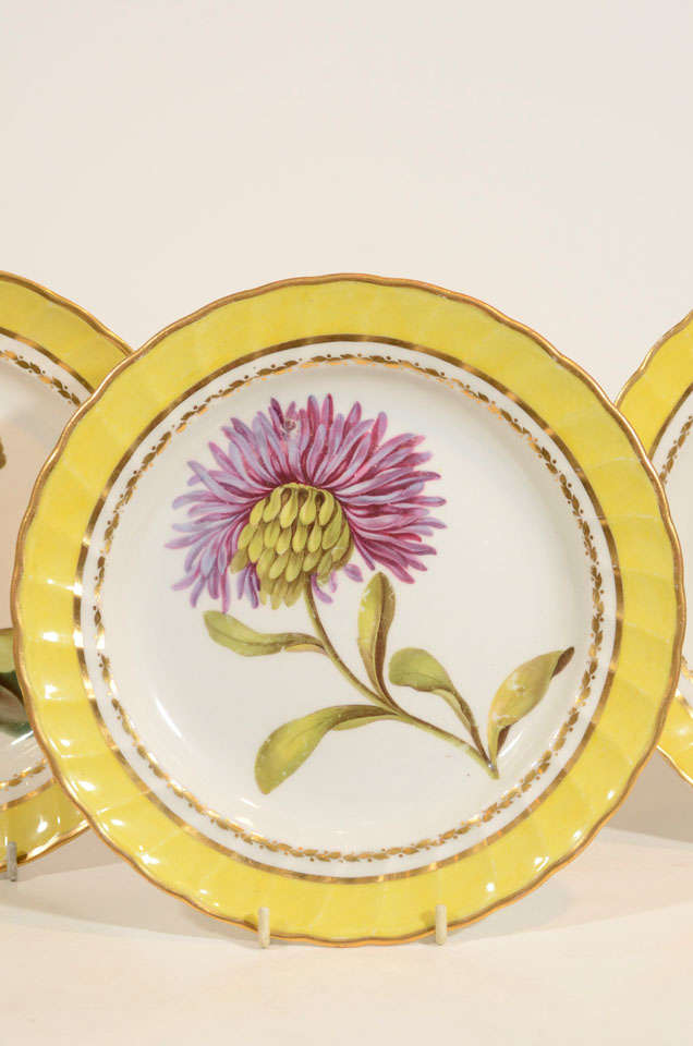 A Group of 6 Early 19th Century Derby Porcelain Botanical Dishes In Excellent Condition In Katonah, NY