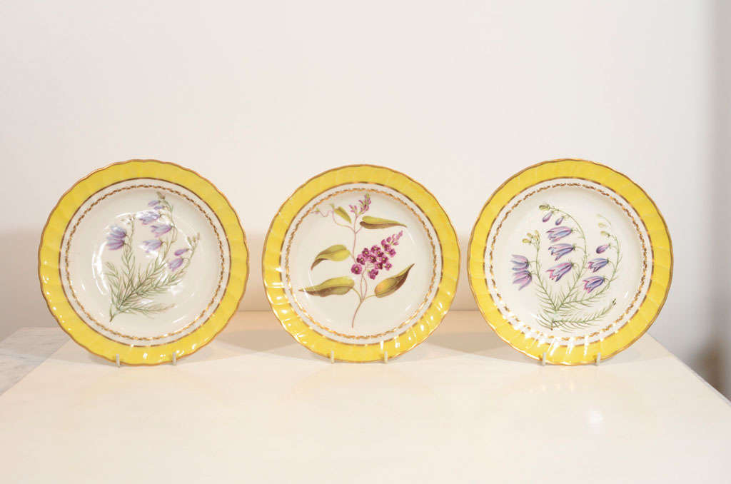 A Group of 6 Early 19th Century Derby Porcelain Botanical Dishes 4