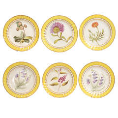 A Group of 6 Early 19th Century Derby Porcelain Botanical Dishes