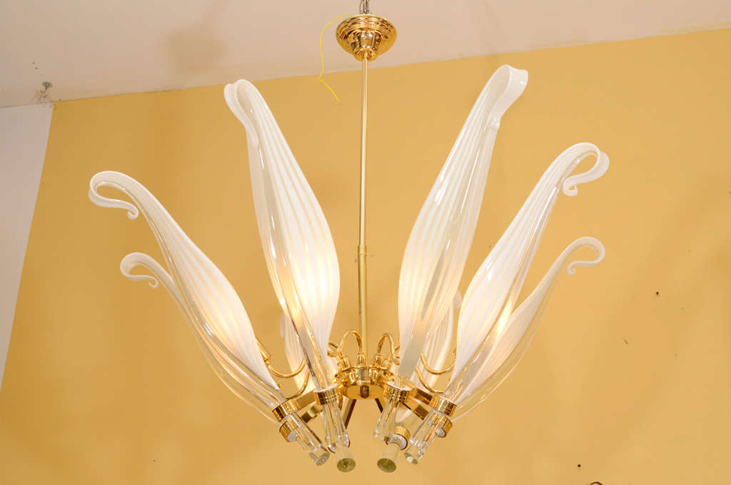 Very beautiful murano chandelier with long and graceful art glass petals and brass armature and hardware. Designed by Franco Luce. Gorgeous! Please contact for location.