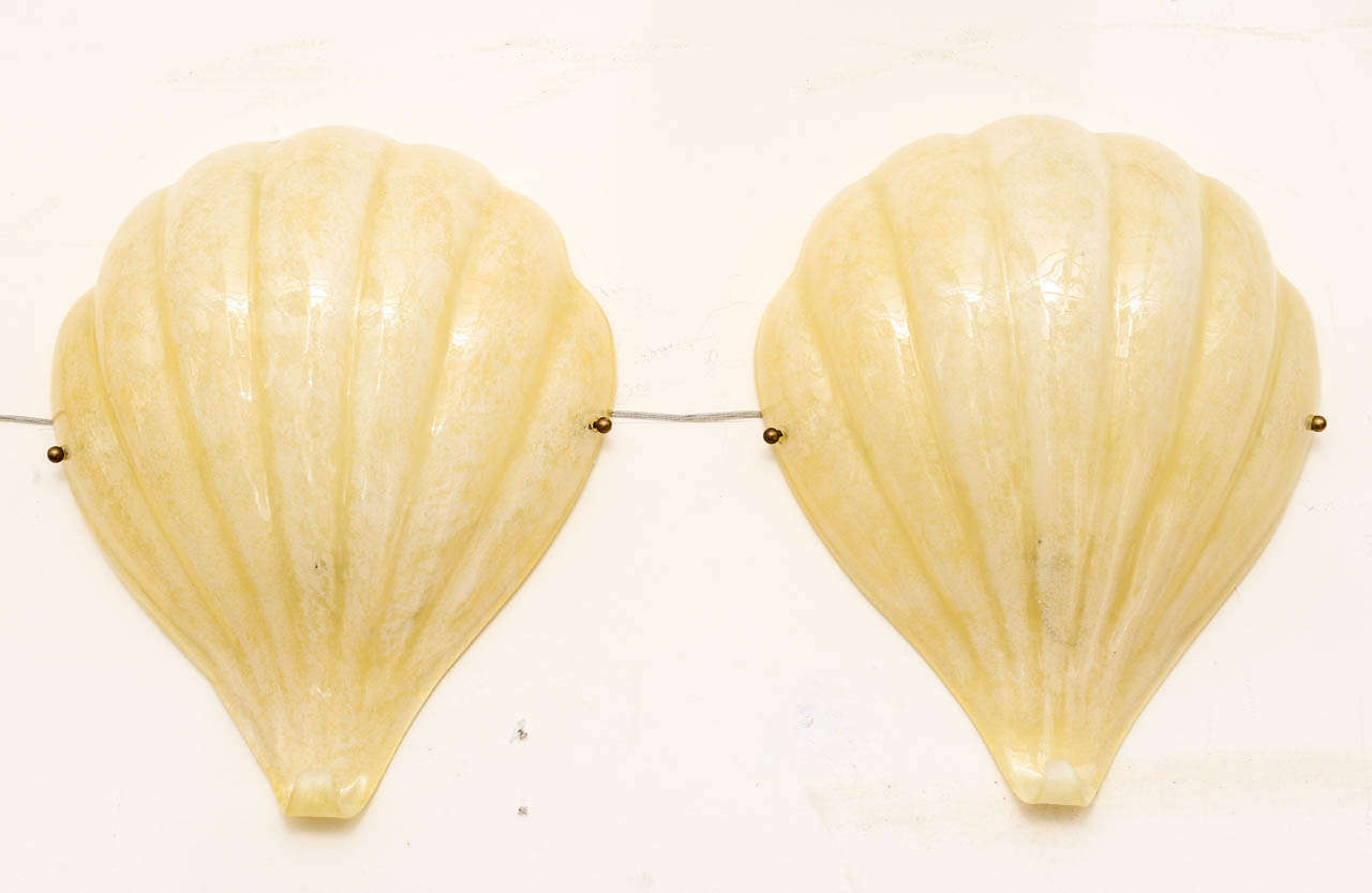 Pair of Murano art glass shell sconces. 
Made during the 1930s in Murano, Venice for the Campione d'Italia casinò.
We have 2 pair available.