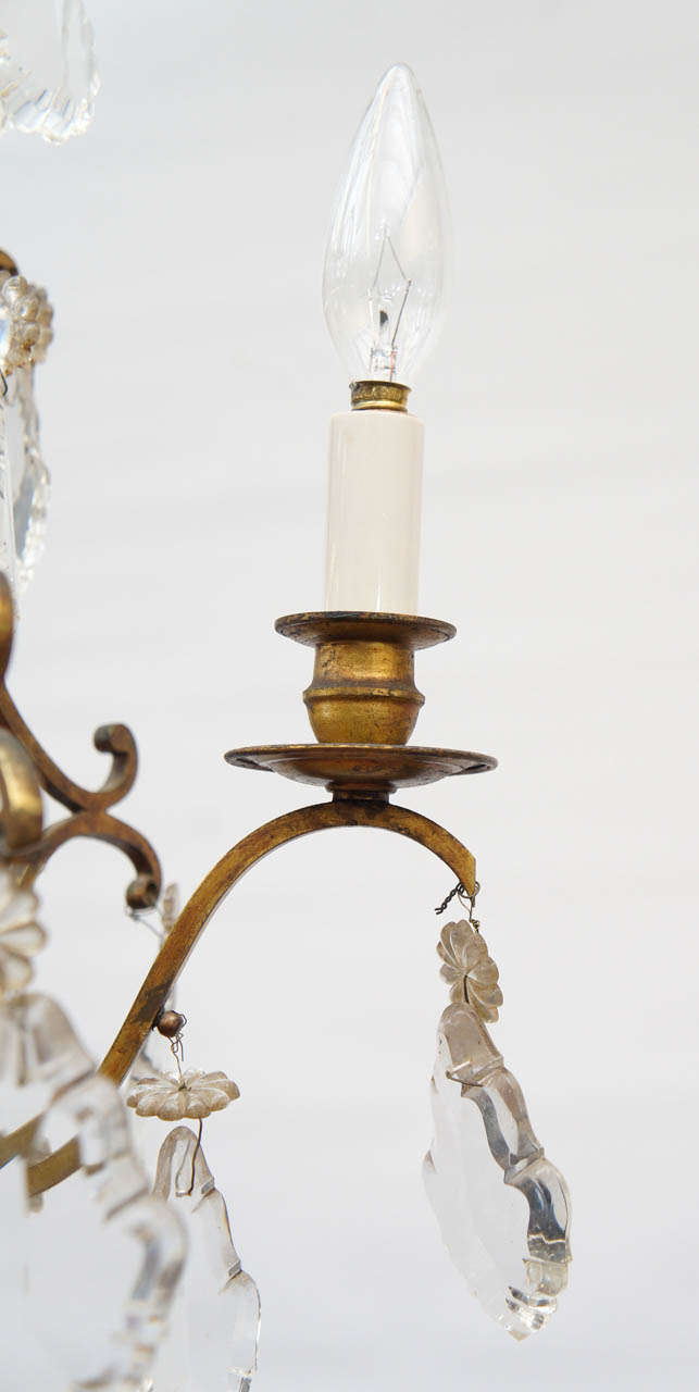 Petite French Crystal & Gilt Chandelier In Good Condition In Sheffield, MA