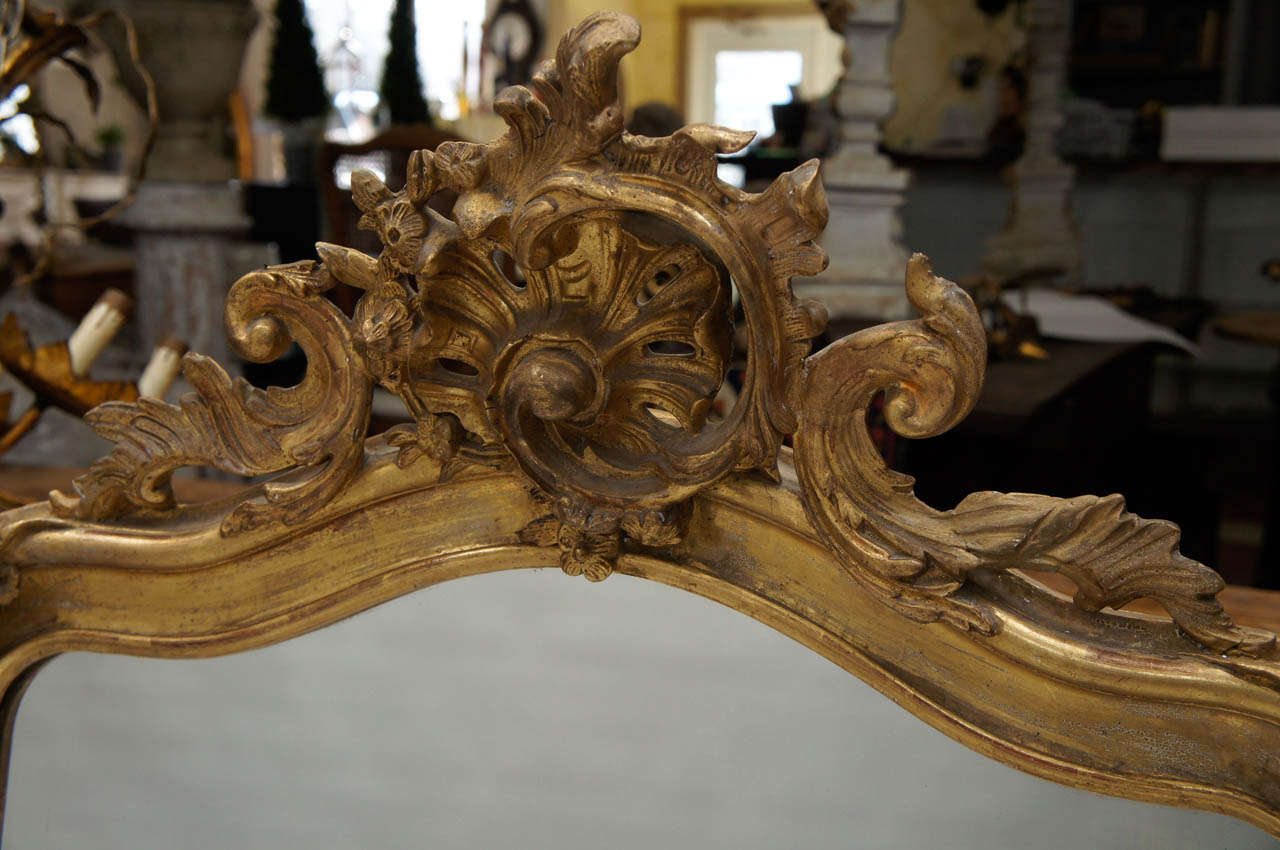 Louis XV 19th Century Rococo Gilt Mantel Mirror
