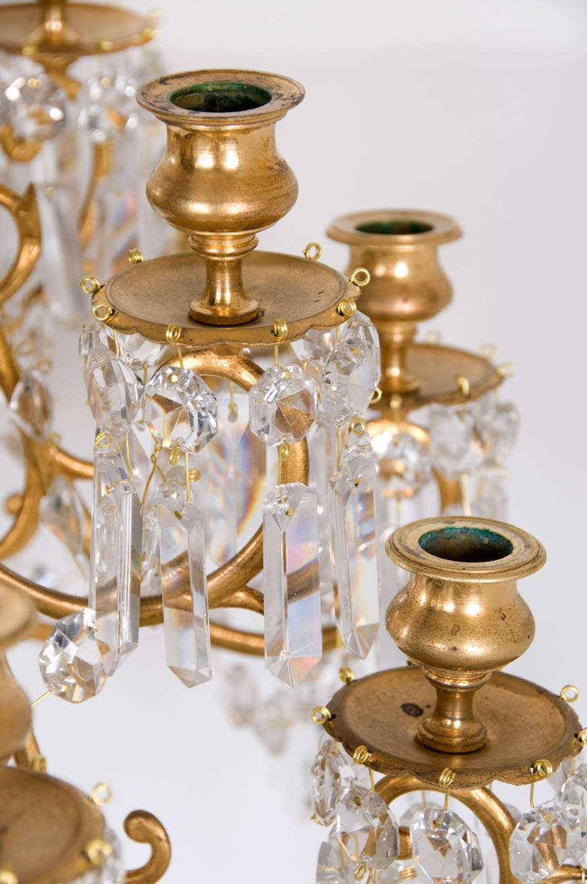 19th Century Baccarat Ormolu and Glass 18 Light Candelier For Sale 1