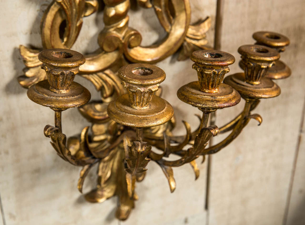 Carved Pair of Five-Arm Giltwood Sconces For Sale