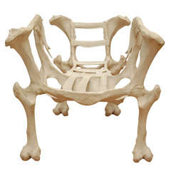 Bone Chair