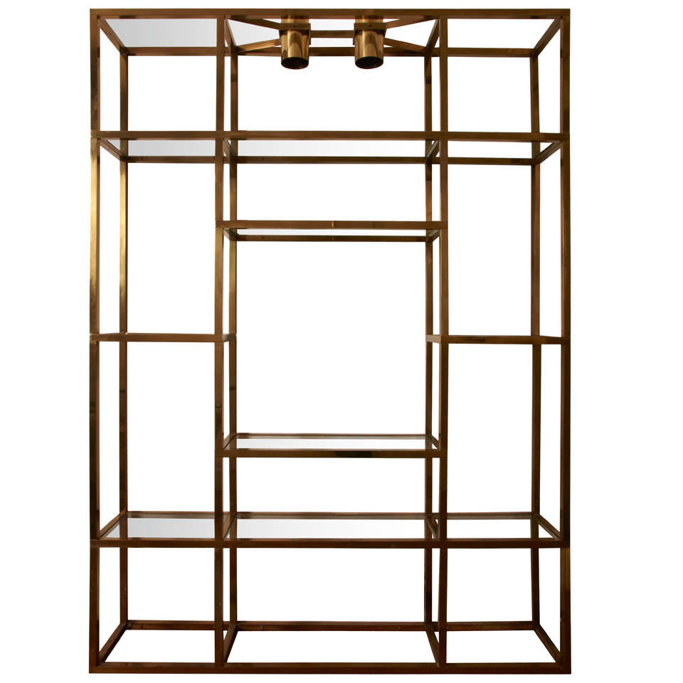 Large gilt brass shelves or bookcase. at 1stDibs