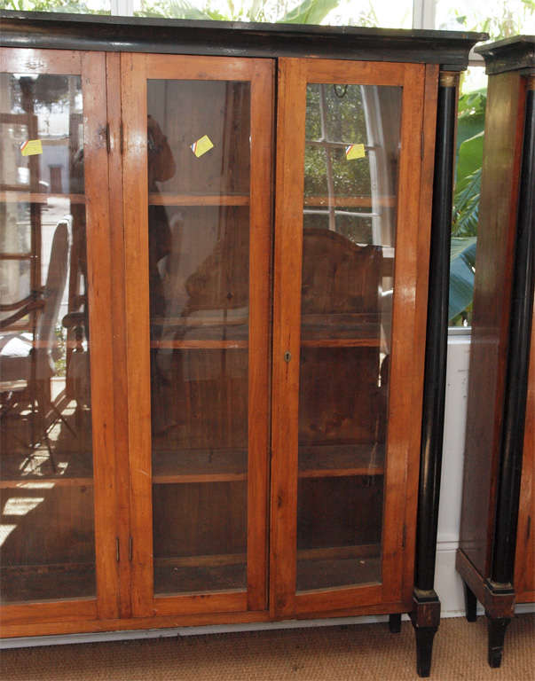 French Pair of Directoire 19th Century Fruitwood Bookcases For Sale