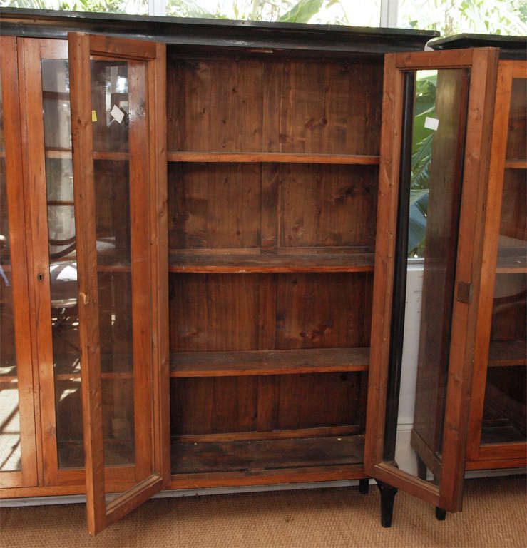 Pair of Directoire 19th Century Fruitwood Bookcases In Good Condition For Sale In New Orleans, LA