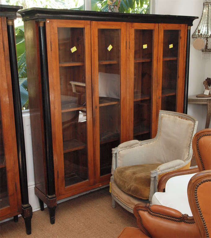 Pair of Directoire 19th Century Fruitwood Bookcases For Sale 6