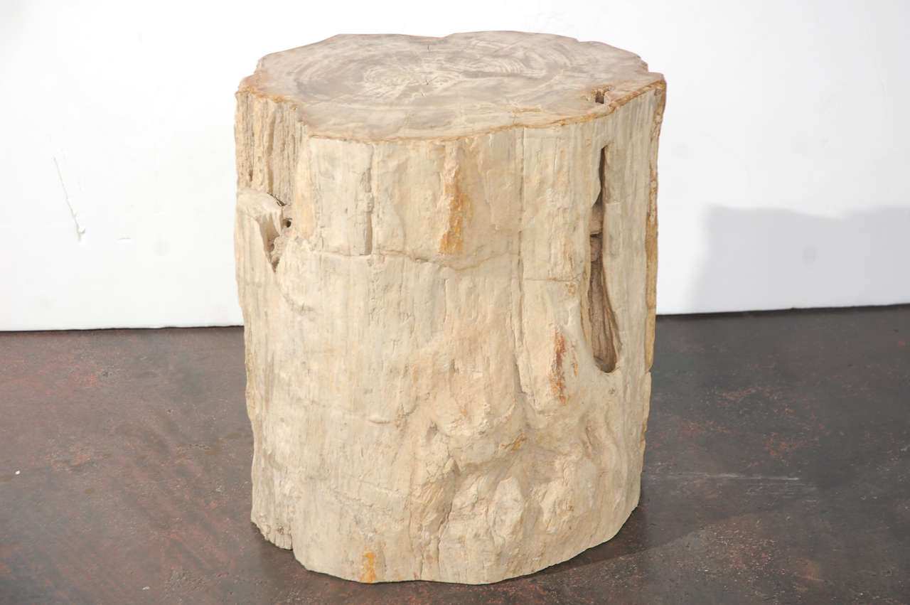 Petrified Wood Table 2