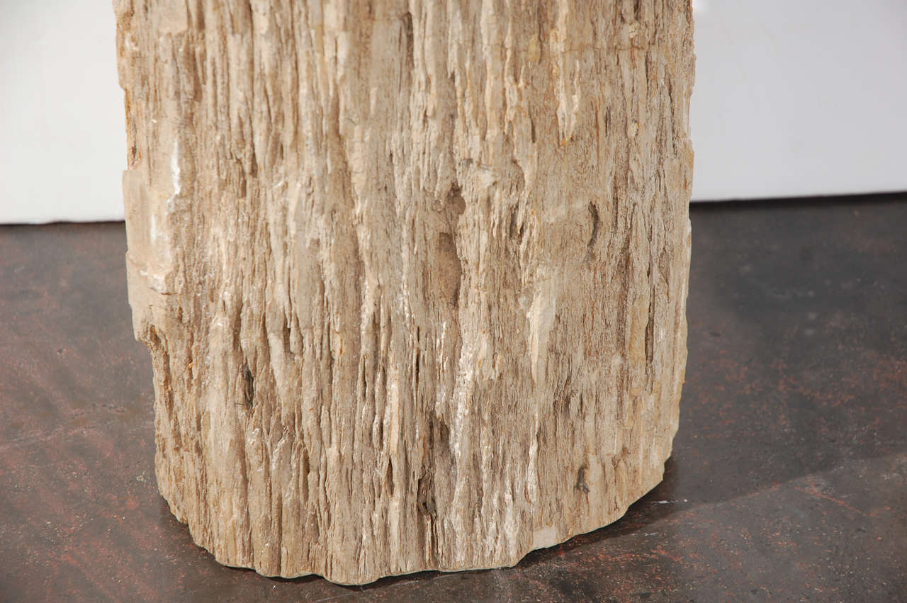 Petrified Wood Table In Excellent Condition In Los Angeles, CA