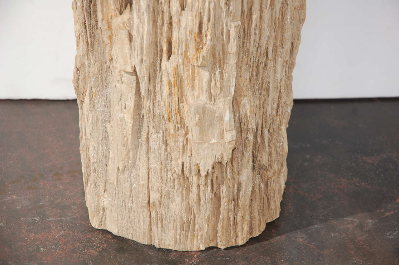 Petrified Wood Table 2