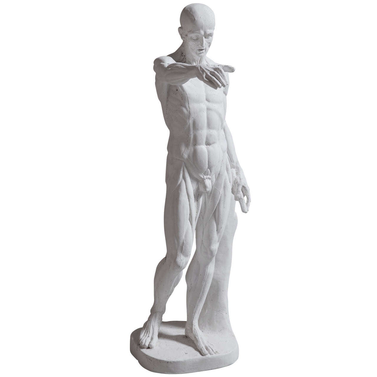 Plaster "L'écorché" after Houdon For Sale