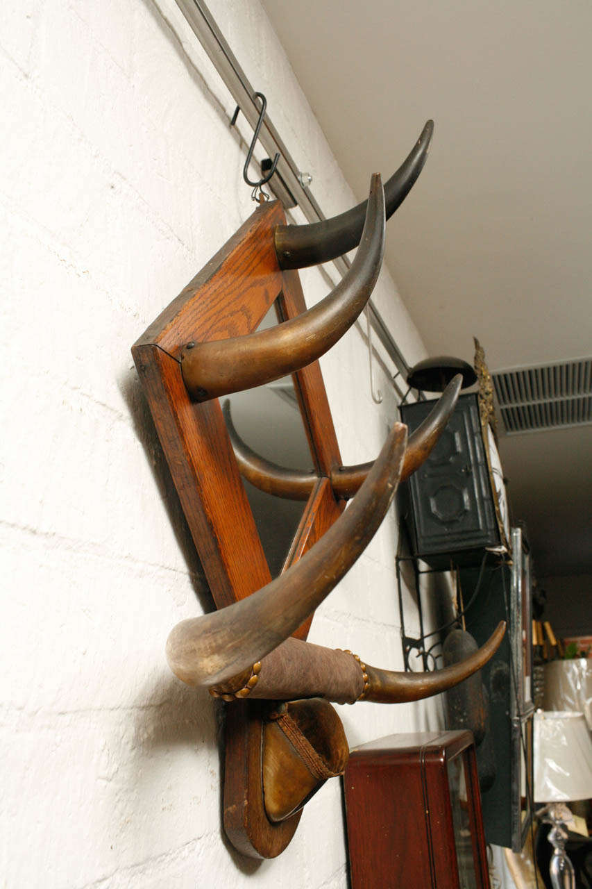 Leather American Horn Hat Rack with Mirror For Sale