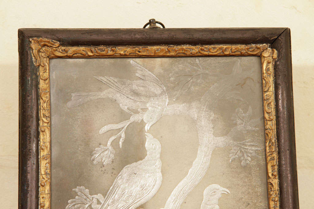 This English George I period engraved mirror glass picture depicts birds resting on branches of a tree, within its original ebonized and parcel gilded frame. Engraved decoration on mirrors was popular in the late seventeenth and early eighteenth