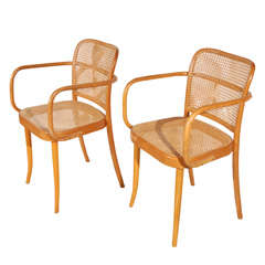 Pr. of Stendig "Prague" bentwood armchairs chairs, Josef Hoffman