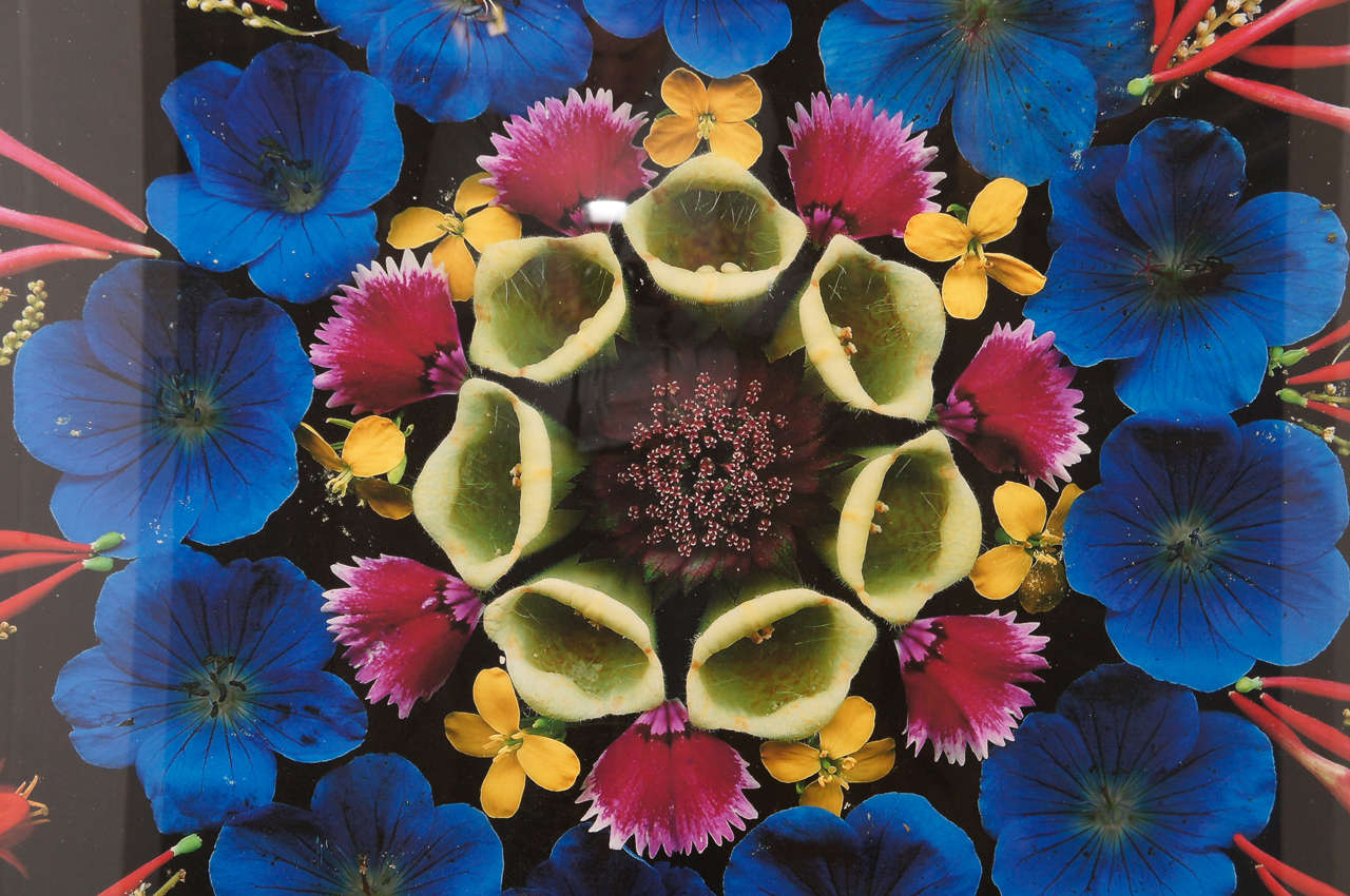 American Portia Munson Flower Print For Sale