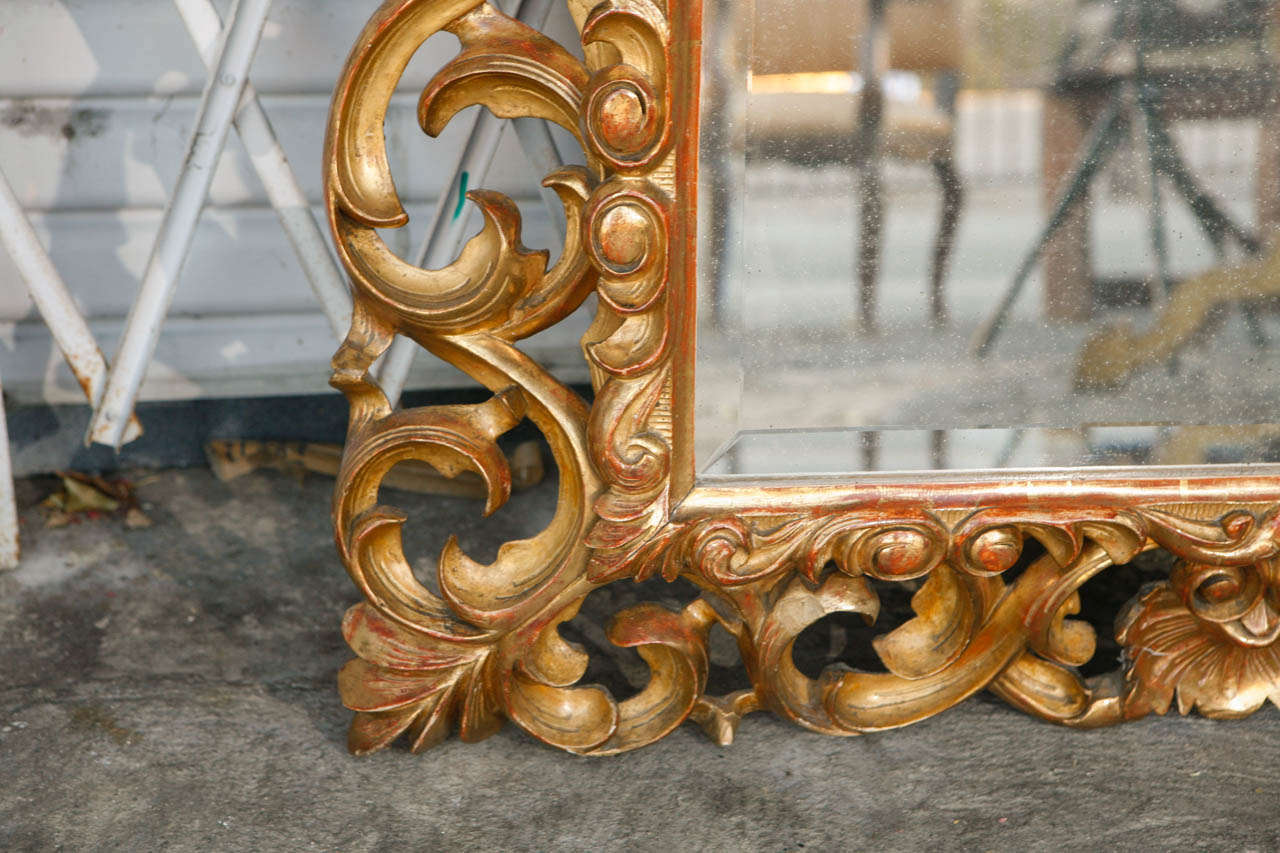 19th Century  Italian Giltwood Mirror 1