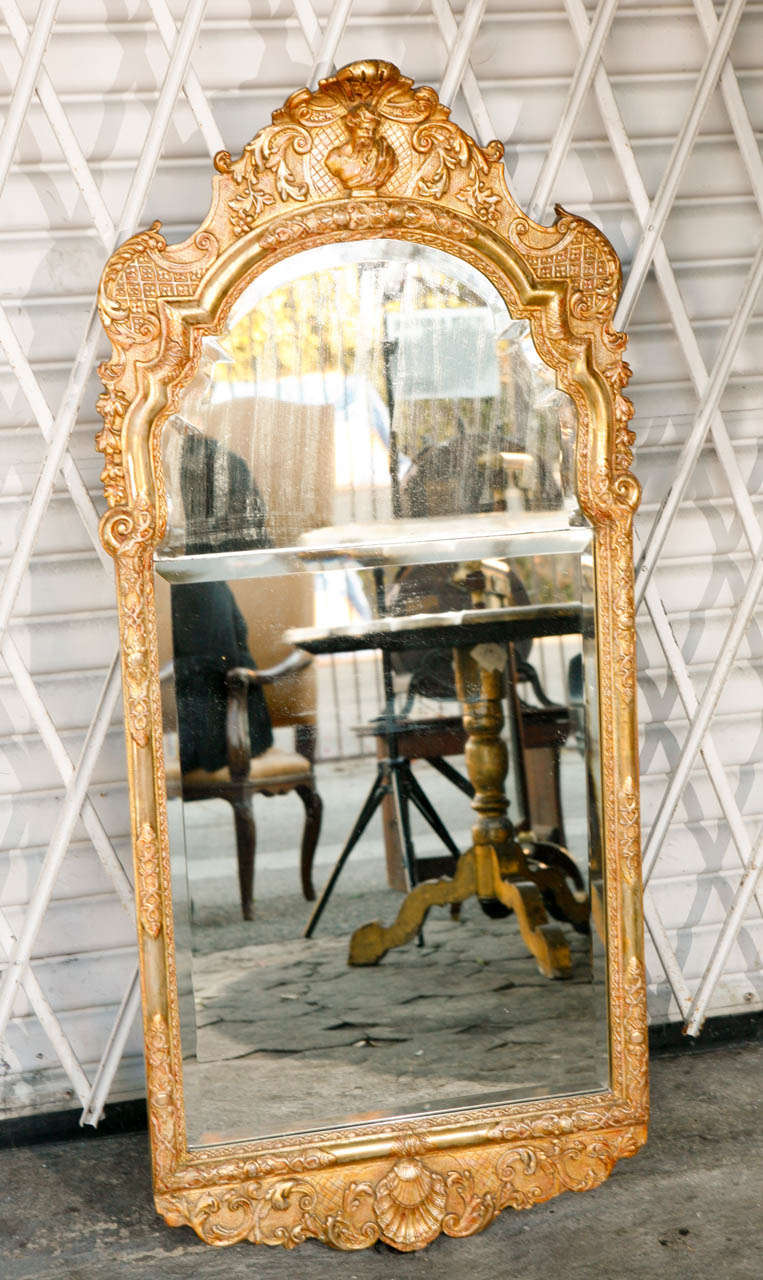 englischer Giltwood- und Gesso-Spiegel aus dem 19. Jahrhundert mit originalem, geteiltem, abgeschrägtem Glas und Muschelmotiv auf der Unterseite.