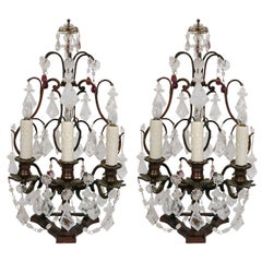 Pair of 19th Century French Bronze And Crystal Girandoles