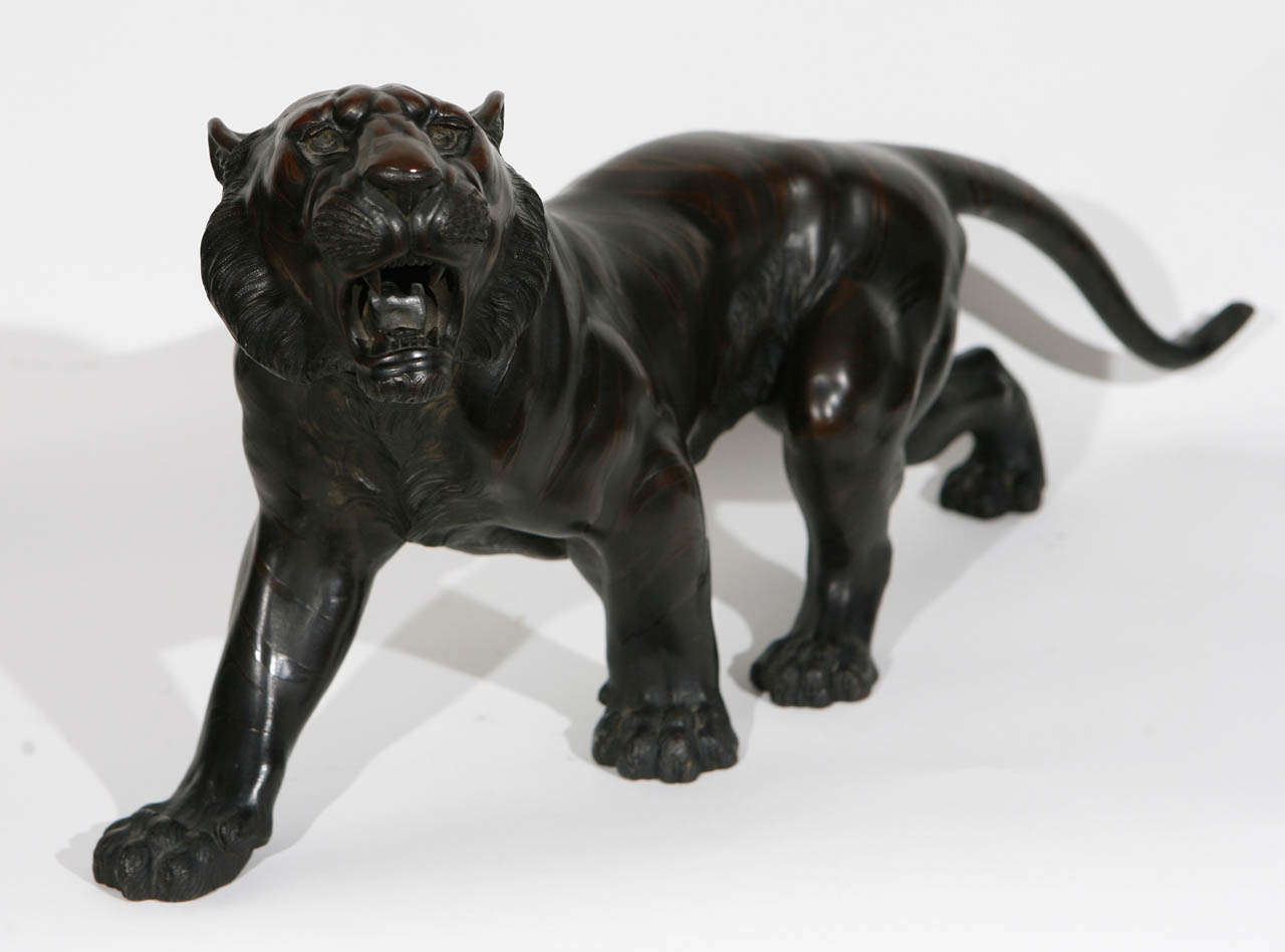 tigre en bronze japonais des années 1900:: signé par l'artiste.