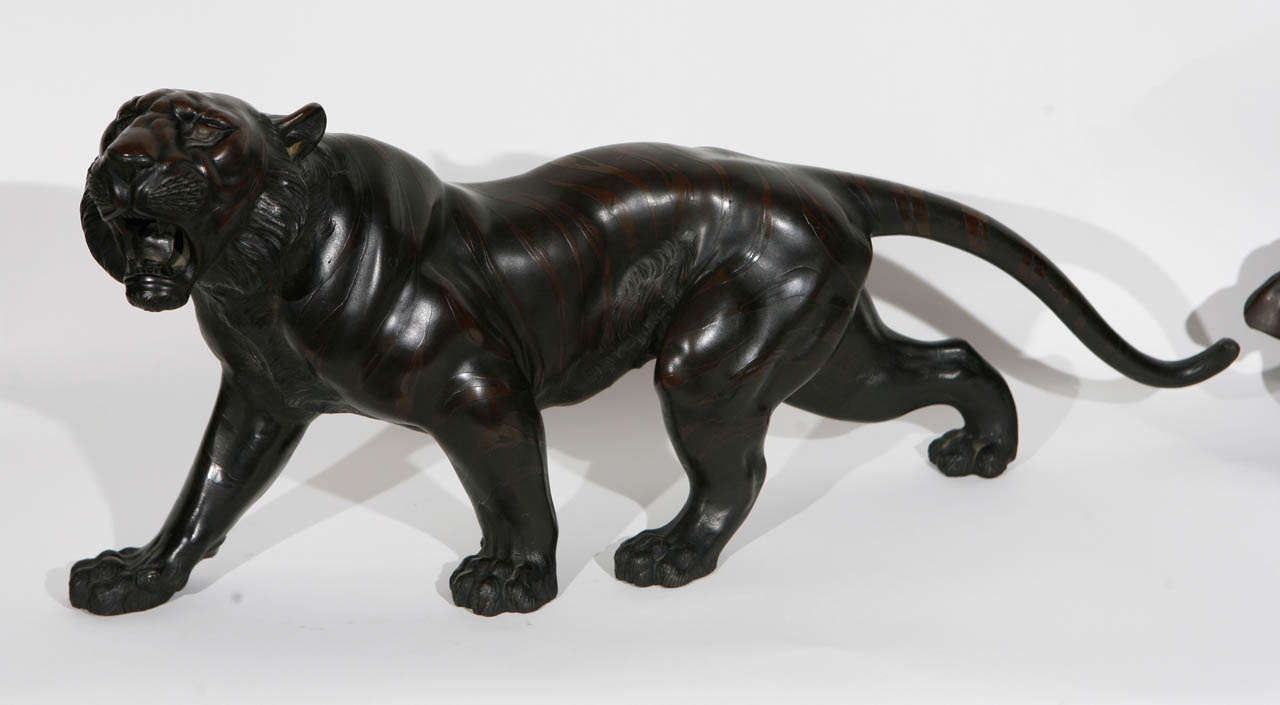 Japonais tigre en bronze japonais des années 1900