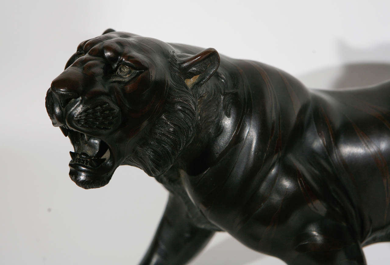 tigre en bronze japonais des années 1900 Excellent état à Los Angeles, CA