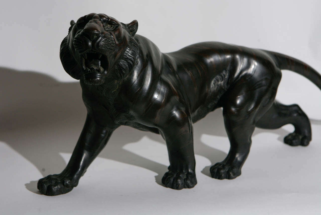 20ième siècle tigre en bronze japonais des années 1900