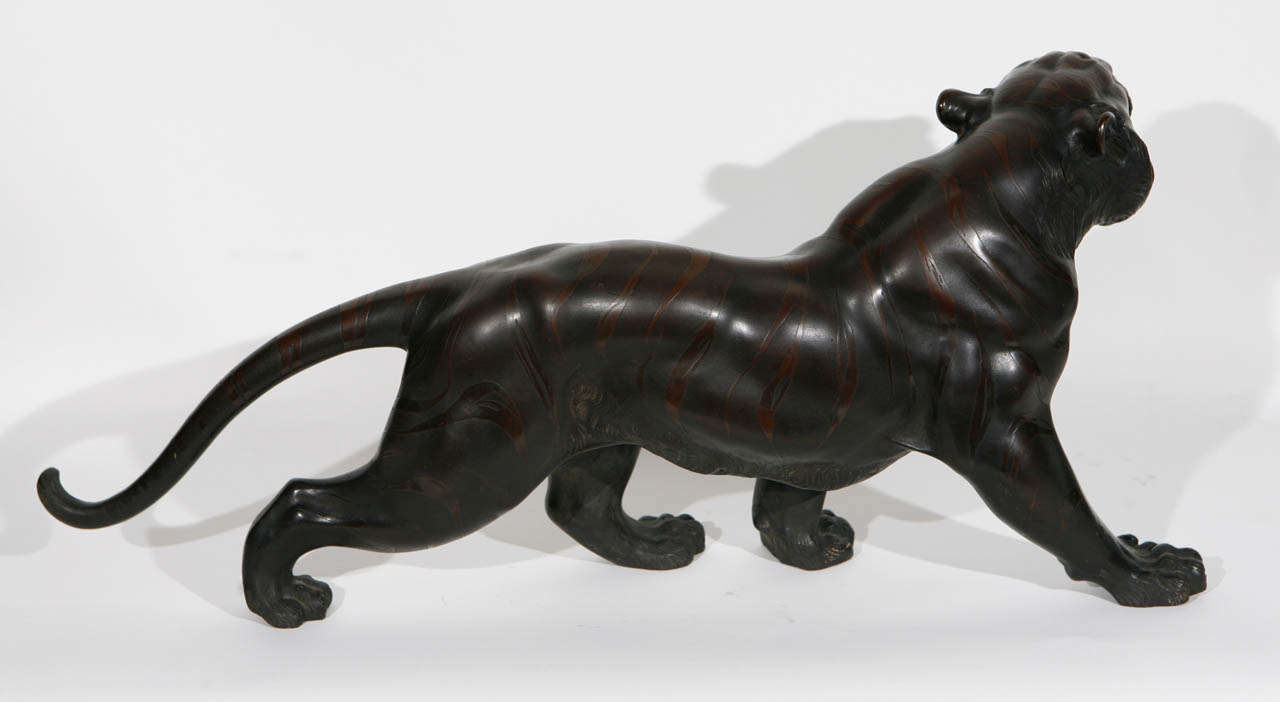 tigre en bronze japonais des années 1900 1