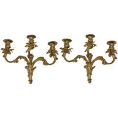 19th Century Pair of French Dore Bronze 3 Arm Sconces
