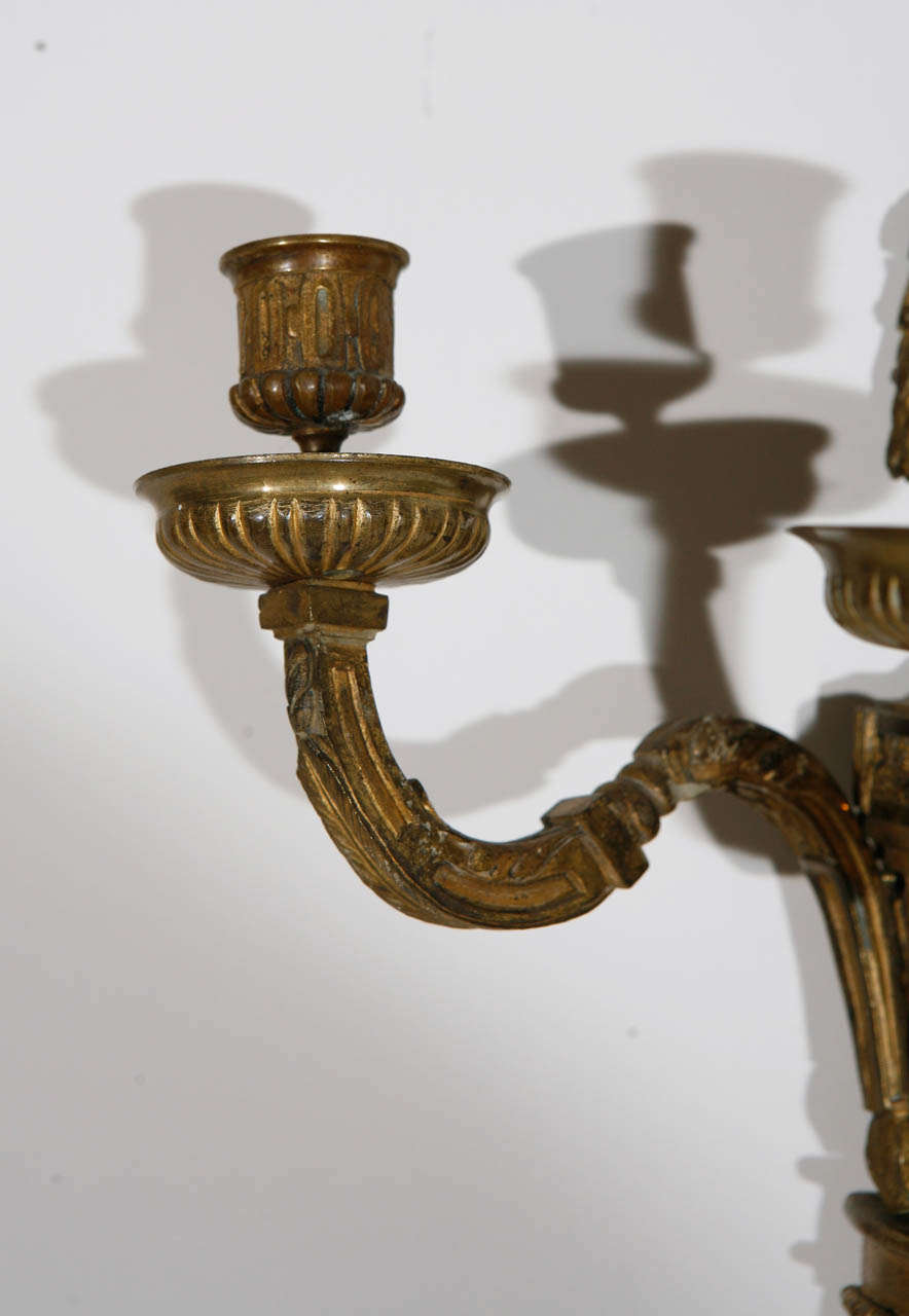 Gilt Pair of 19th Century French Dore Bronze Three-Arm Sconces For Sale