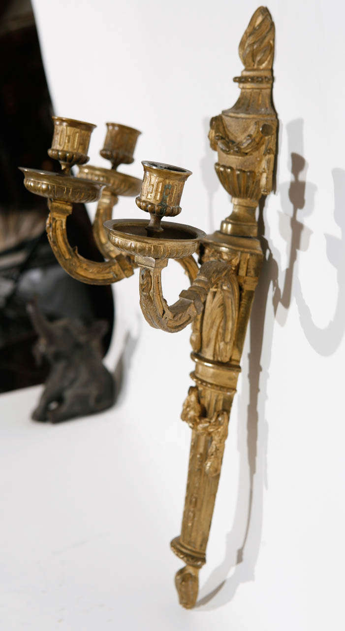 Pair of 19th Century French Dore Bronze Three-Arm Sconces For Sale 3