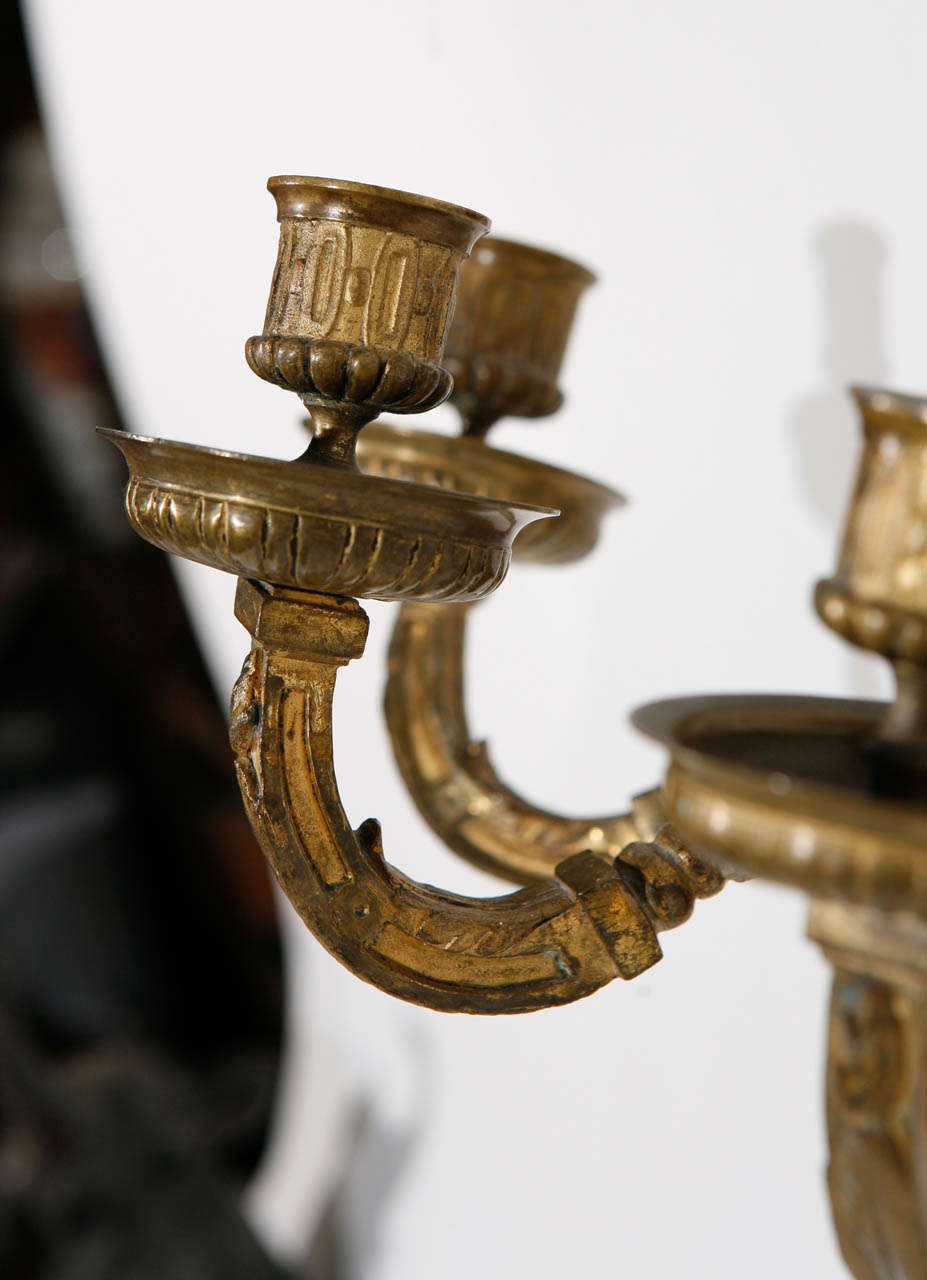 Pair of 19th Century French Dore Bronze Three-Arm Sconces For Sale 6