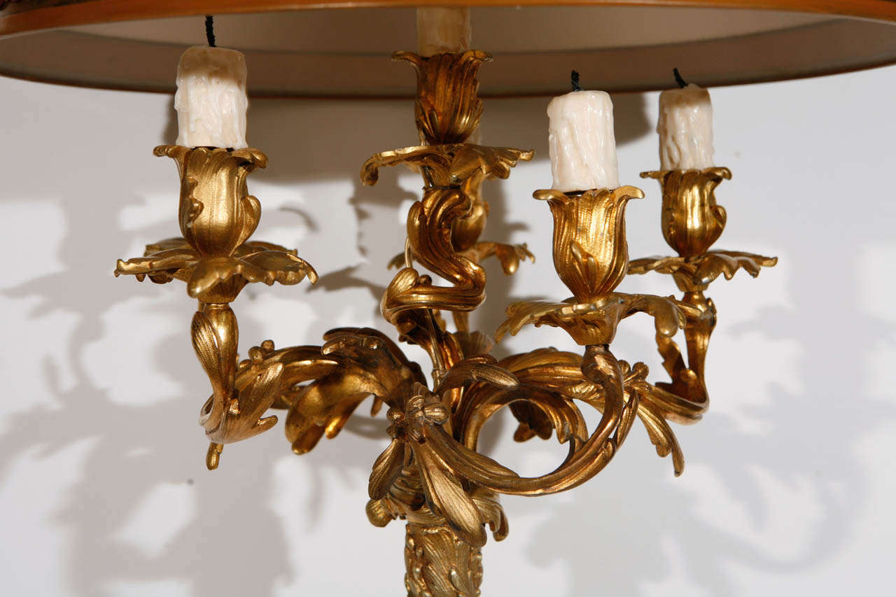 Gilt Pair of 19th Century French Dore Bronze Candelabra Lamps