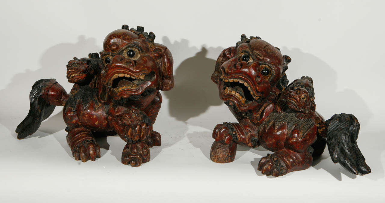 Pair of 19th Century Chinese carved polychrome Foo Dogs.