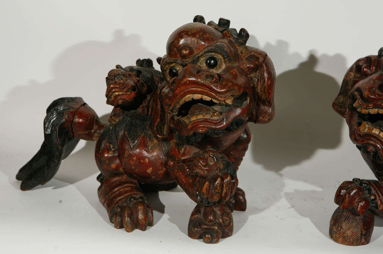 Wood Pair of 19th Century Chinese Carved Foo Dogs