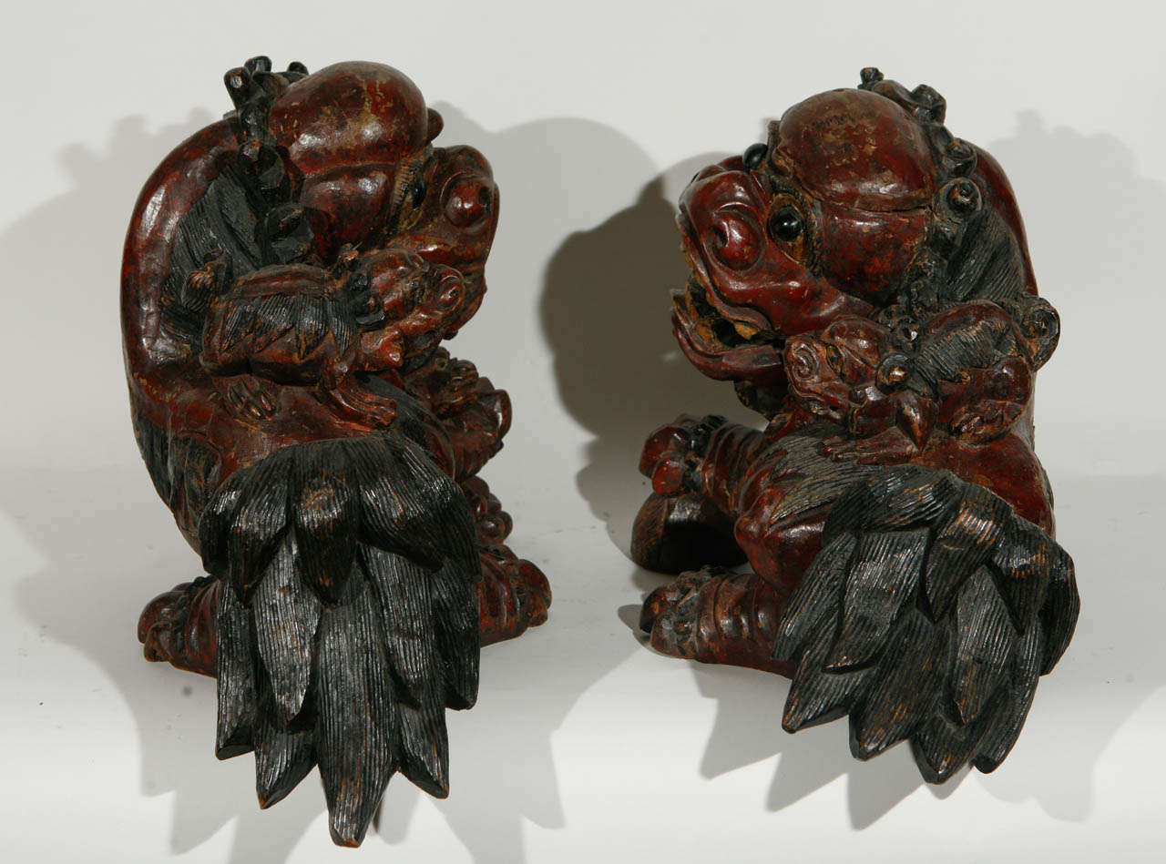 Pair of 19th Century Chinese Carved Foo Dogs 2