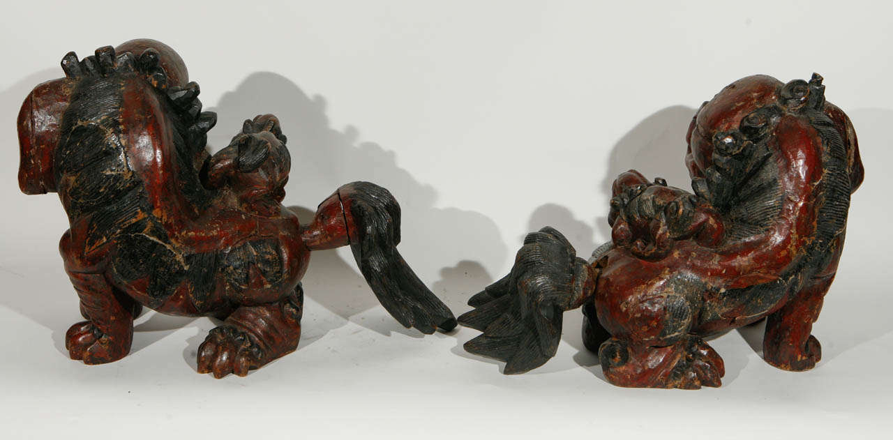 Pair of 19th Century Chinese Carved Foo Dogs 3