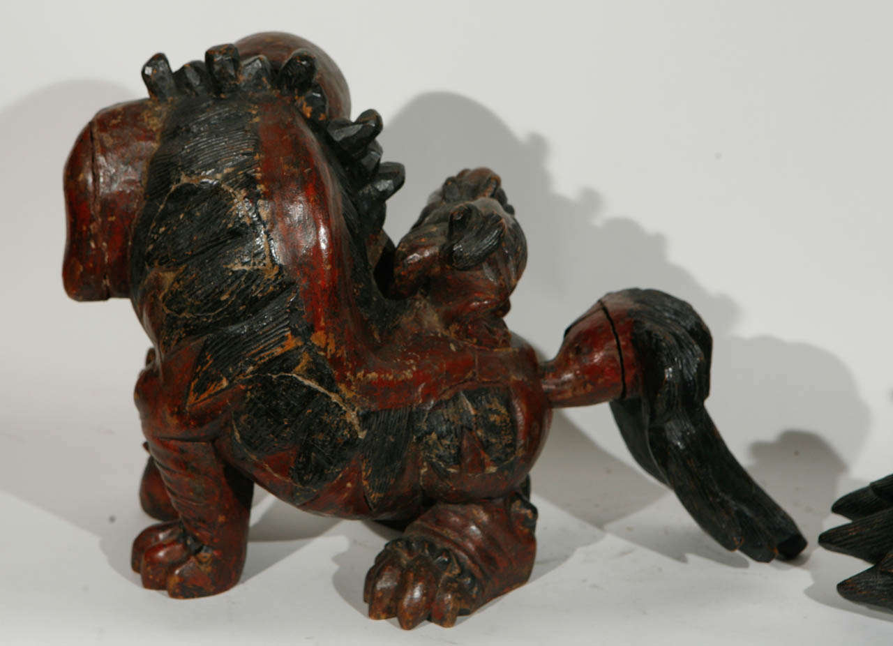 Pair of 19th Century Chinese Carved Foo Dogs 4