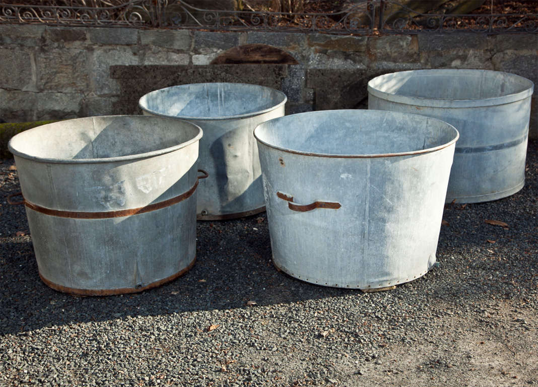 We found these fabulous zinc containers way out in the southwestern French countryside and had to haul them all the way back to the US!  All in excellent condition, each has its own slightly different style and form, so please call or email for