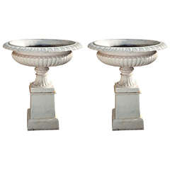 Estate-Sized Pair of Cast Iron Tazza Urns on Plinths
