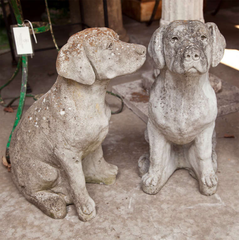 This charming and unusual pair of cast stone dogs is  beautifully weathered and in wonderful shape.  With their great detailing and expressive faces, they would make a welcoming statement on either side of your front door or, alternatively, placed
